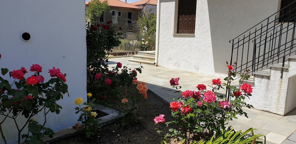 Photo 24
