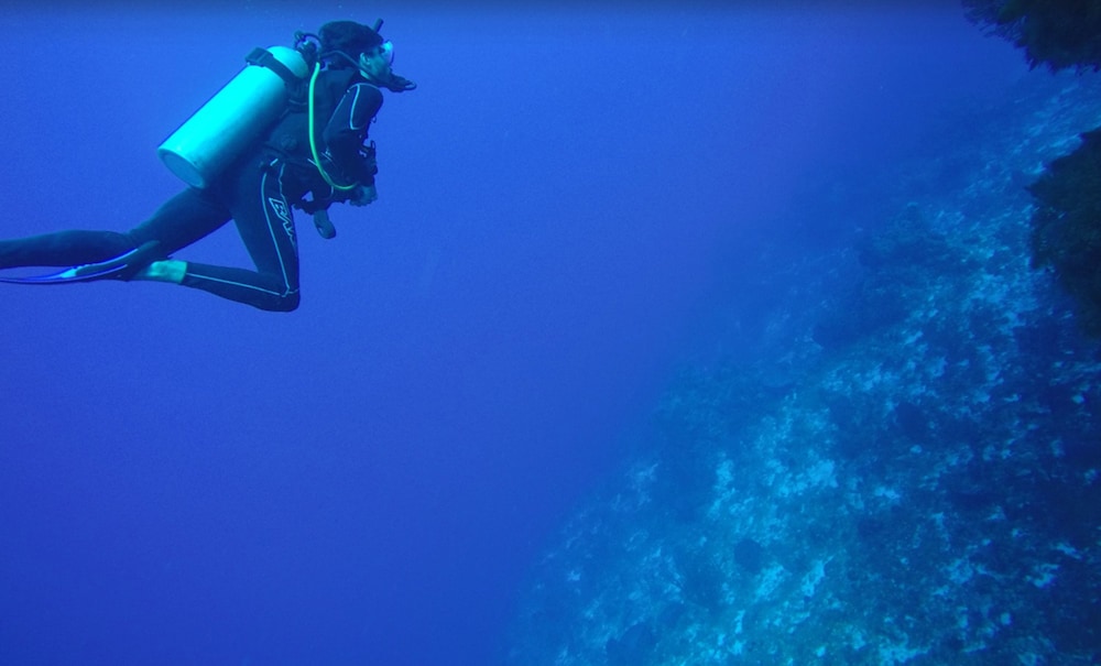 El Cozumeleno Beach Resort - All Inclusive - Property Image 60