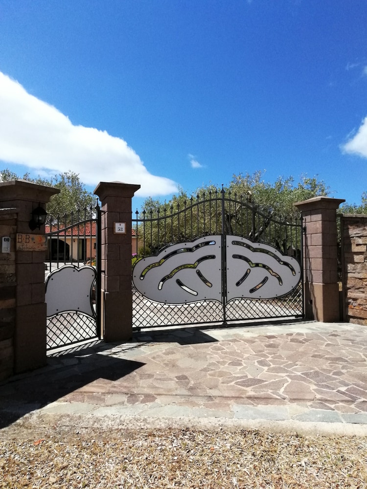 Photo 21