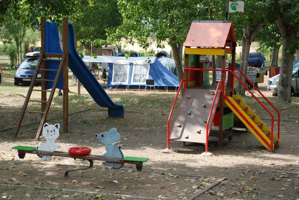 Photo 50