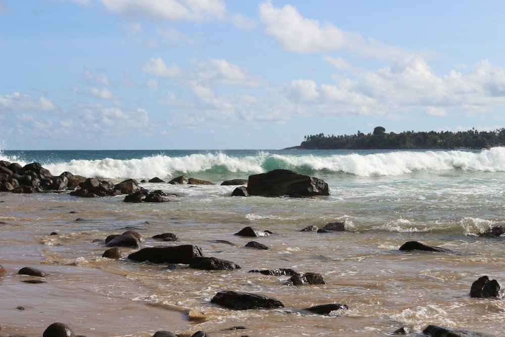 Photo 40