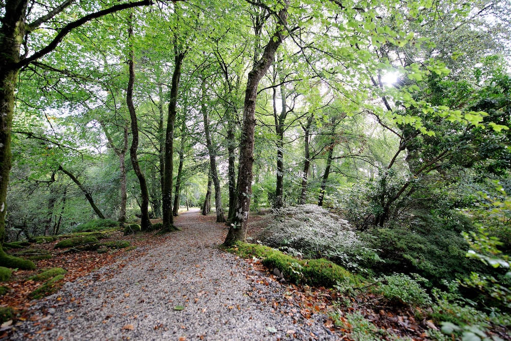 Newton Abbot Vacations - Gidleigh Park - Property Image 35