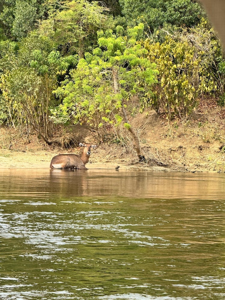 Entikko Safari Lodge