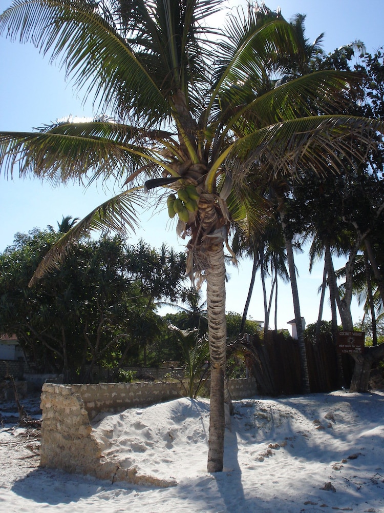 Coconut Beach Apartments