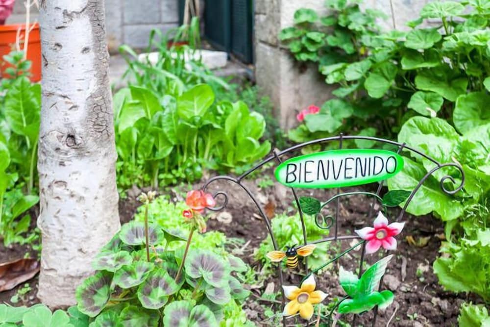Bed & Breakfast BlumenHaus