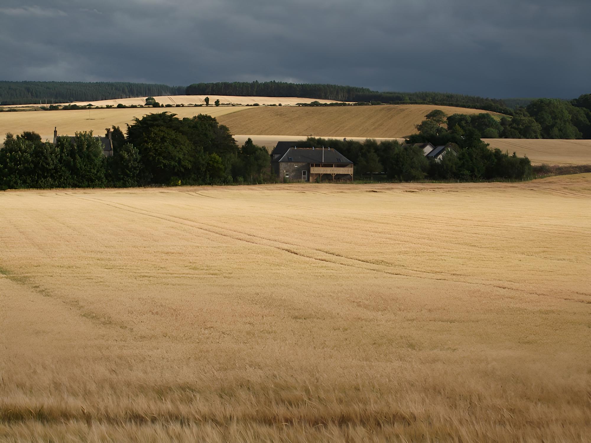 The Granary