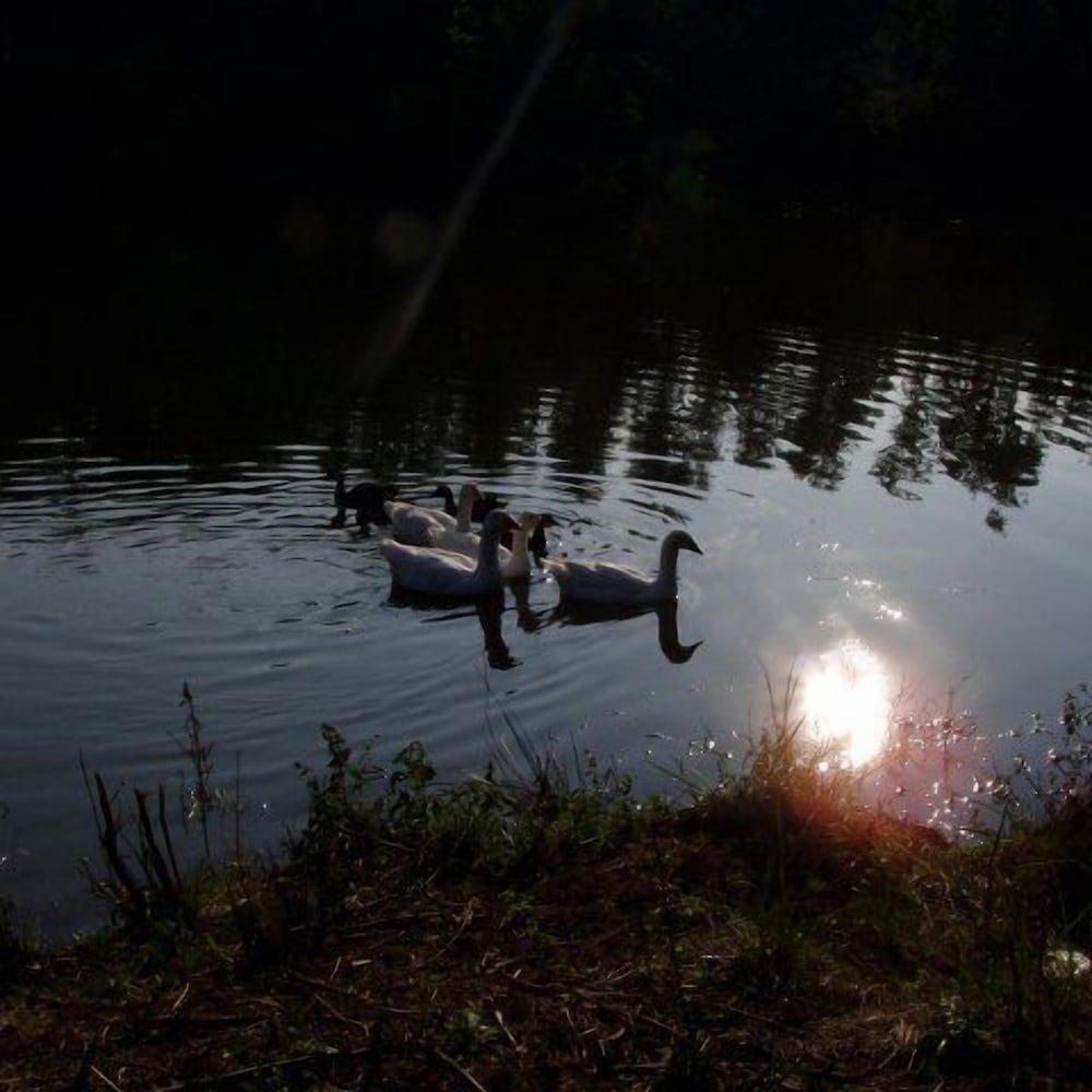 Photo 20