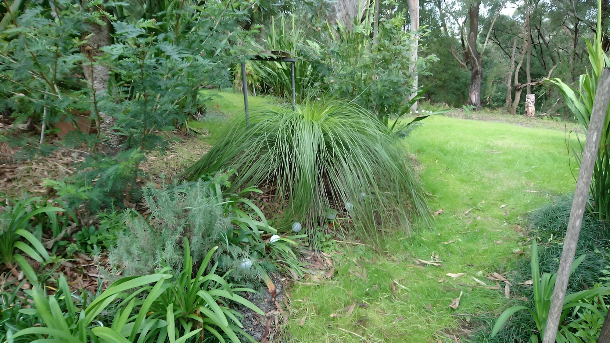Nelson Bay Bed & Breakfast