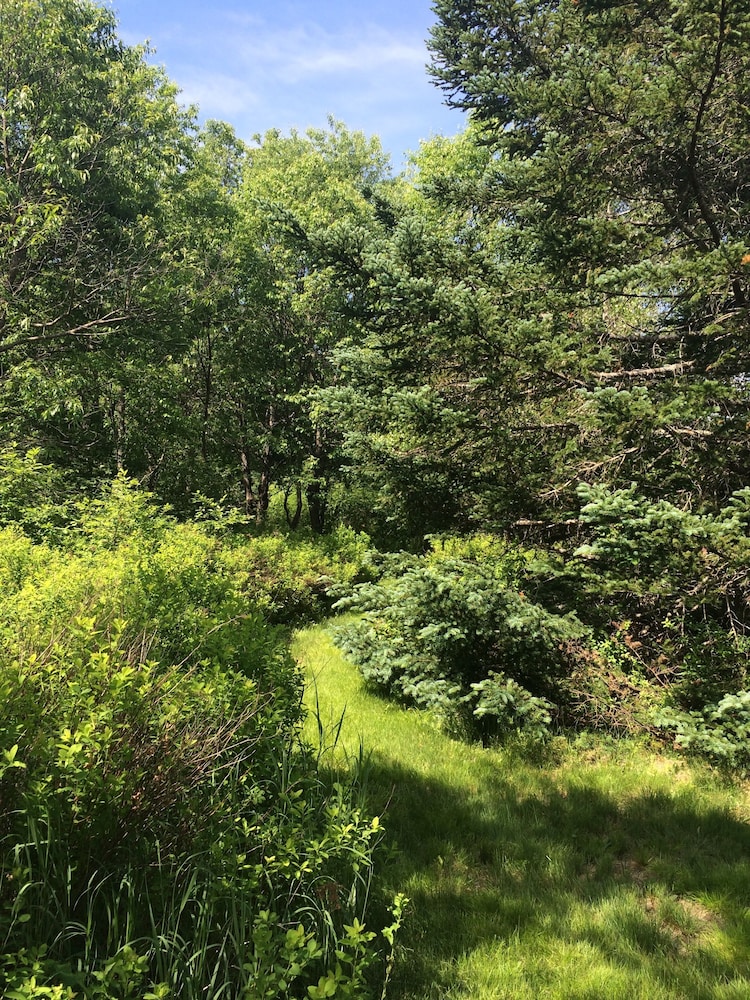 Moose Lodge and Cabins by Bretton Woods Vacations