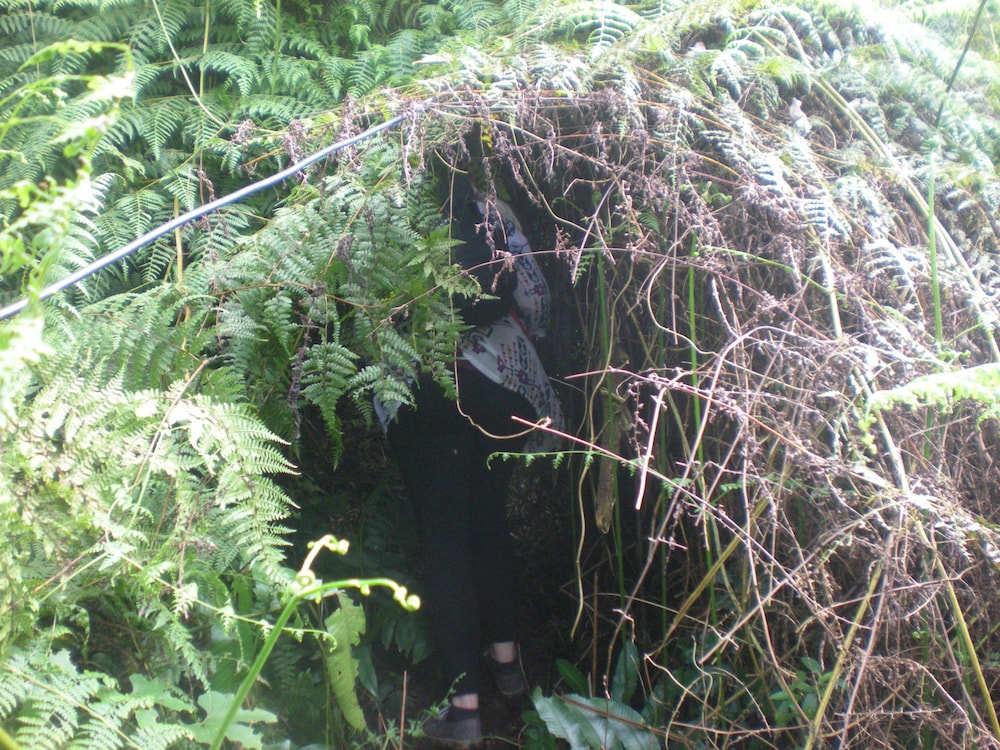 Tepi Sawah Lodge
