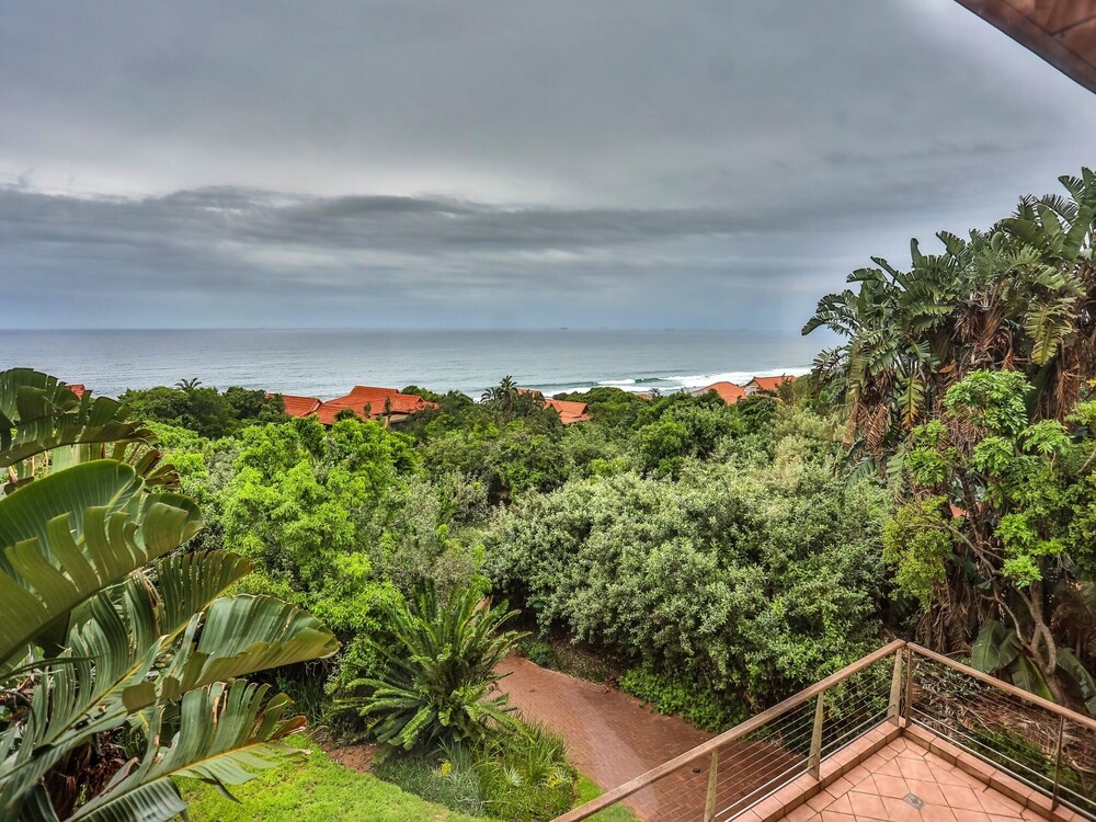 Milkwood, 3 Bedroom, 3 Bathroom Home, Zimbali Coastal Resorts view 3