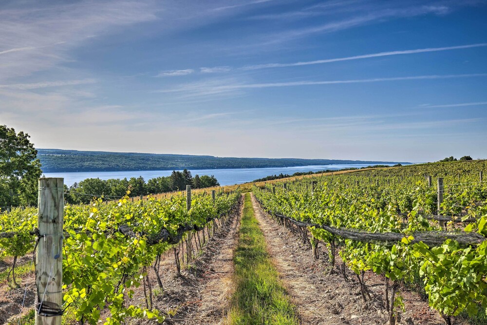 Finger Lakes Farm Retreat: Walk to Wineries! view 5