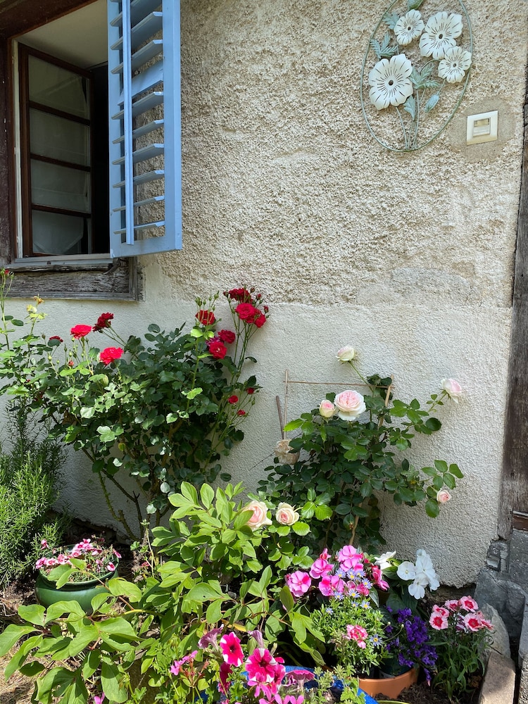 Maison des 5 Temps - Chambres Dhôtes de Charme à Ferrette