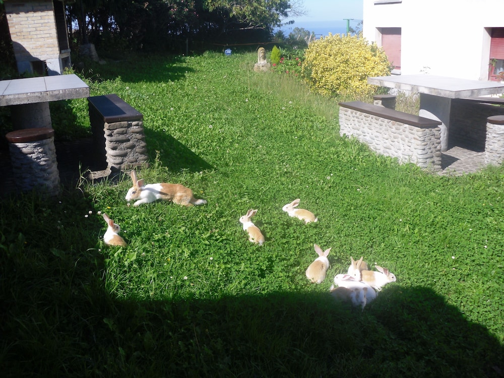 Agroturismo Donibane