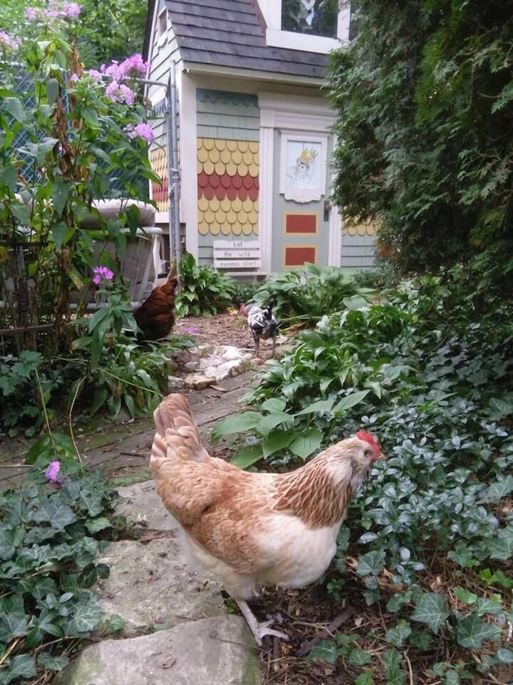 Milwaukee Vacations - Manderley Bed and Breakfast - Property Image 43