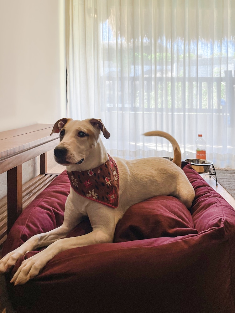 Kimpton Aluna Tulum, an IHG Hotel - Property Image 89