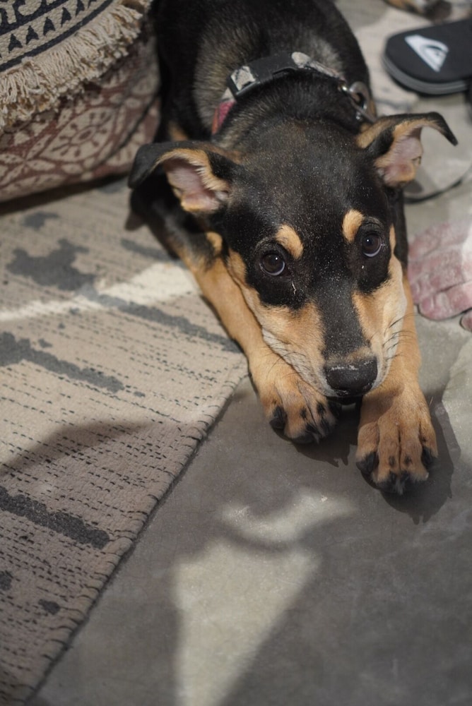 Hotelito Azul - Property Image 146