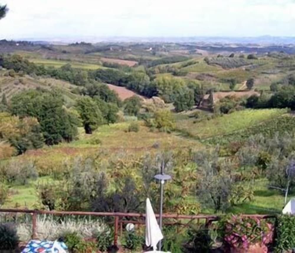 Photo 45