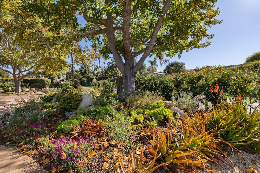 Hummingbird Haven by Avantstay Dog-friendly Near the Beach Huge Yard Hot Tub