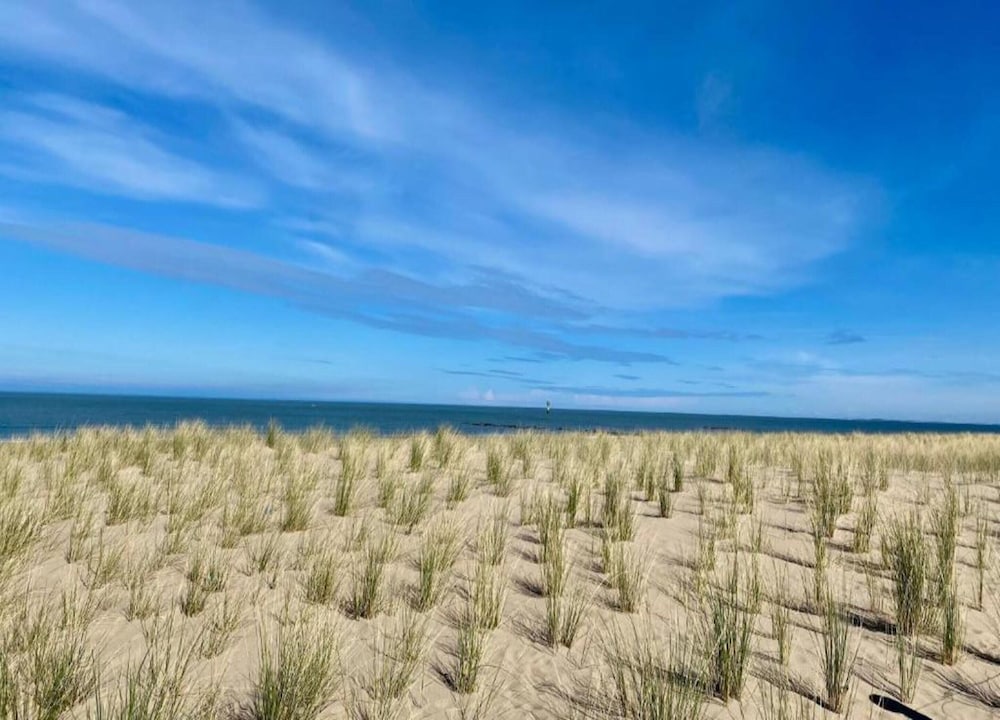Apartment Near Albert Beach Knokke