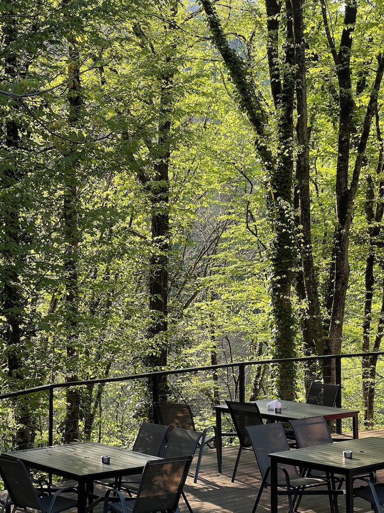 Eco village in the forest