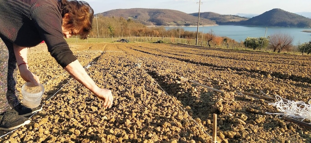 Agriturismo Le Ceregne bio