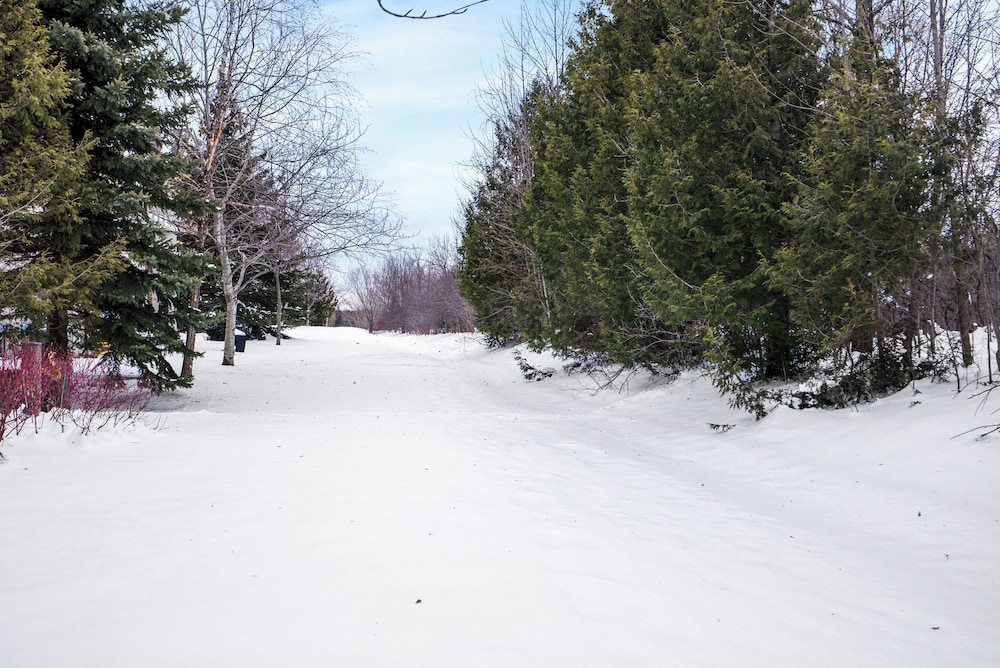 Snowbridge