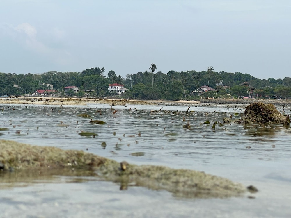 La Seahorse Homestay
