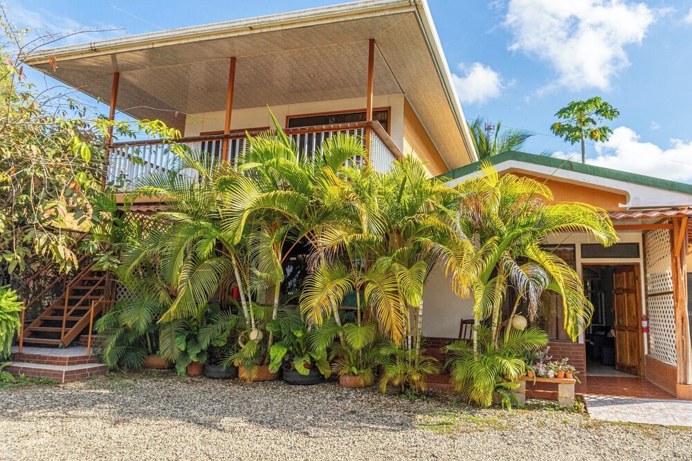 Ocean and forest view Manolo Cabins
