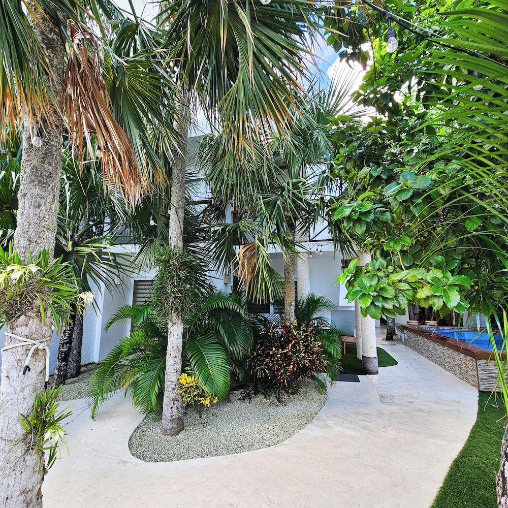 Photo 17