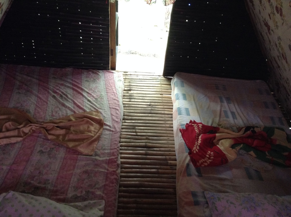 Treasure Isle Guesthouse - Hostel