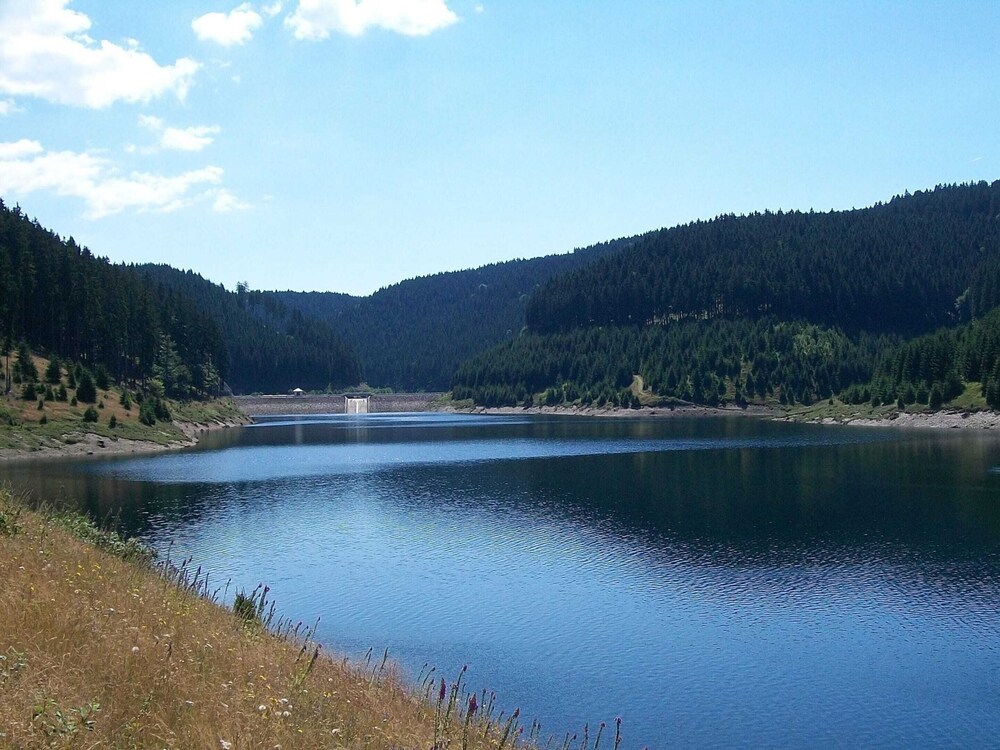 Photo 27