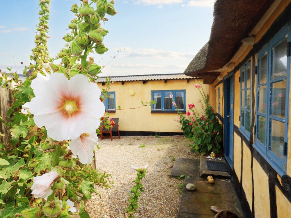4 Person Holiday Home in Bagenkop view 4