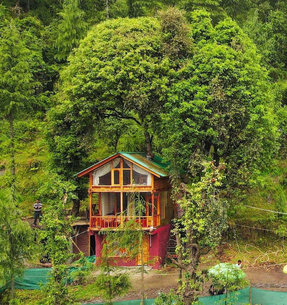 WOW Treehouse & Cottages