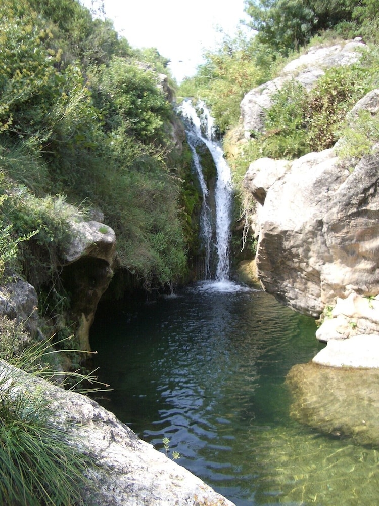 Photo 24