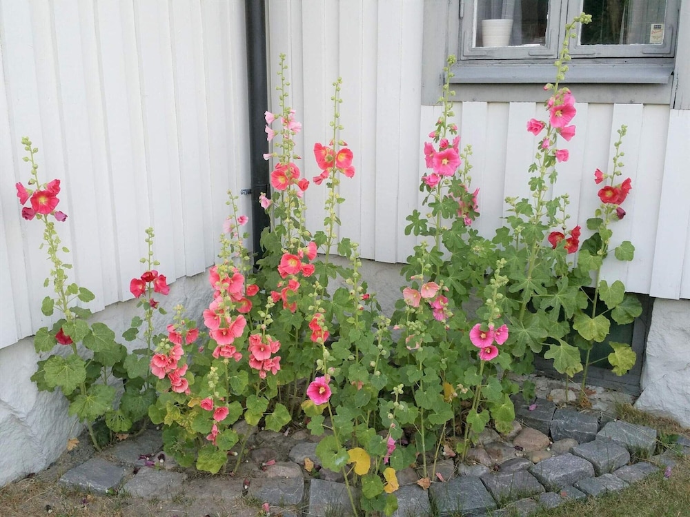 4 Person Holiday Home in Solvesborg view 5
