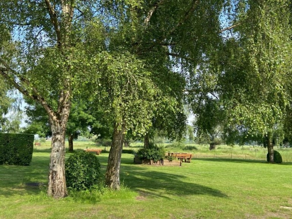 Photo 33