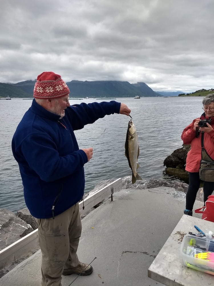 Fiskesenter Birkeland