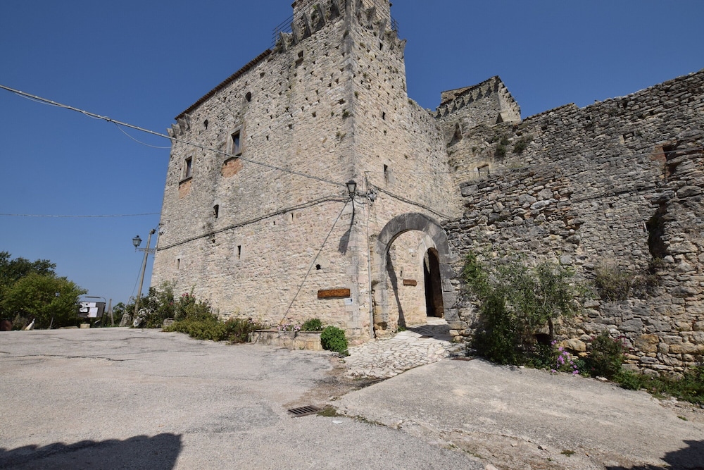 Photo 19