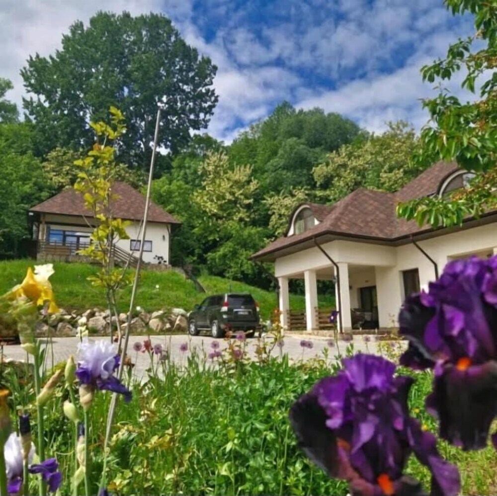 Provence Suceava