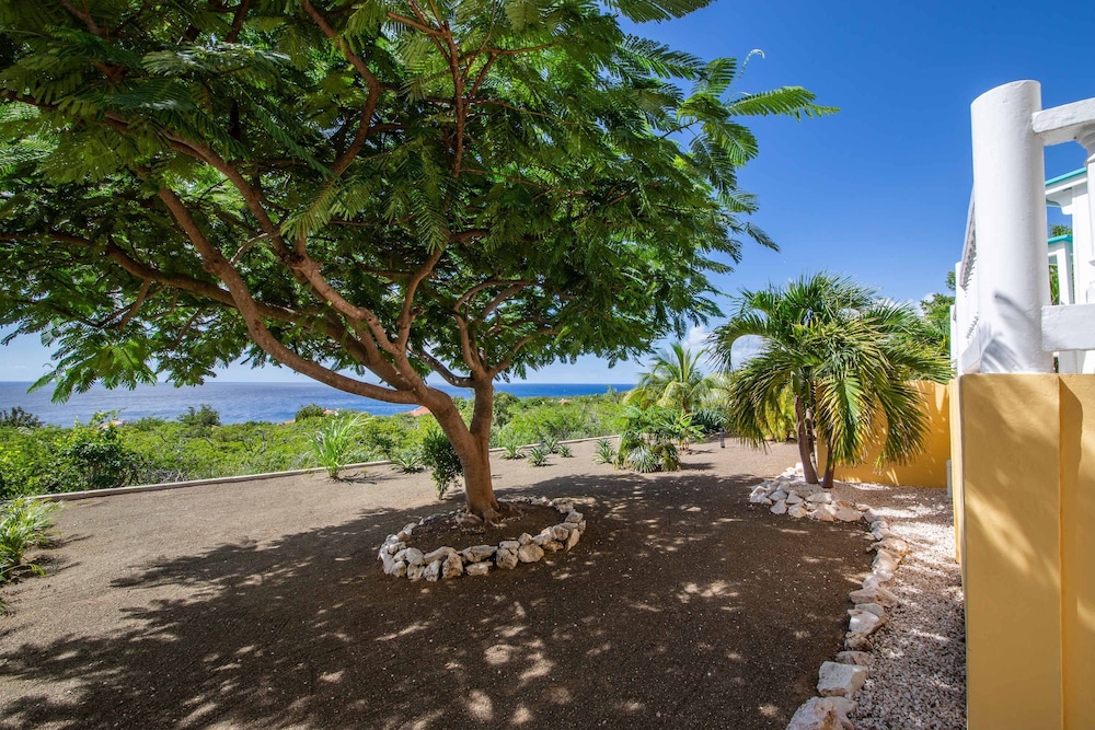 Tropical Twilight Haven Unwind in Style