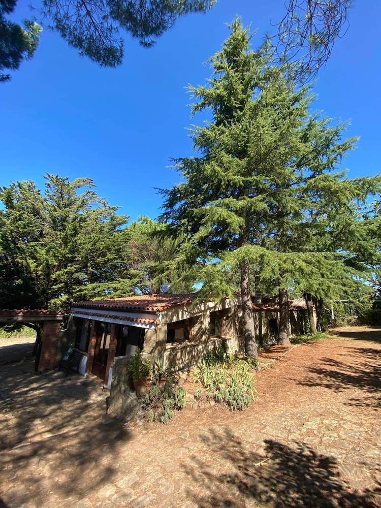 Agriturismo Bosco Pianetti