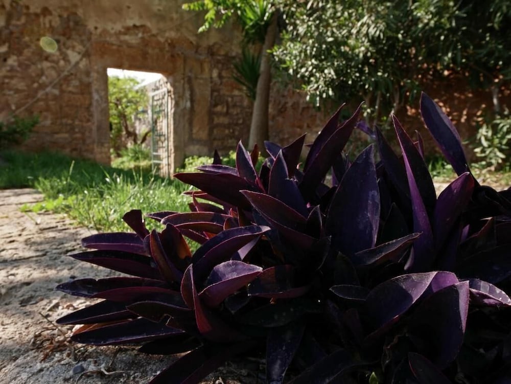 Masseria Maccarone