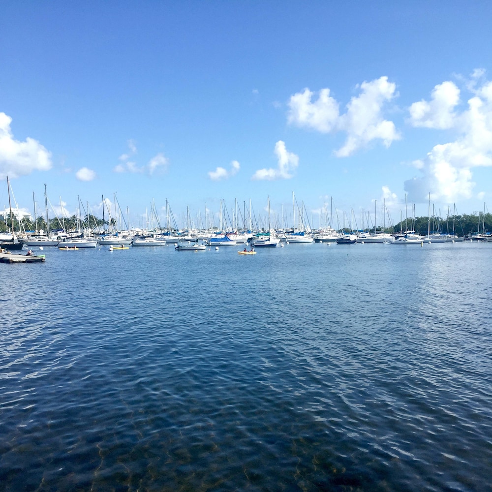 Pelicanstay in Coconut Grove Miami