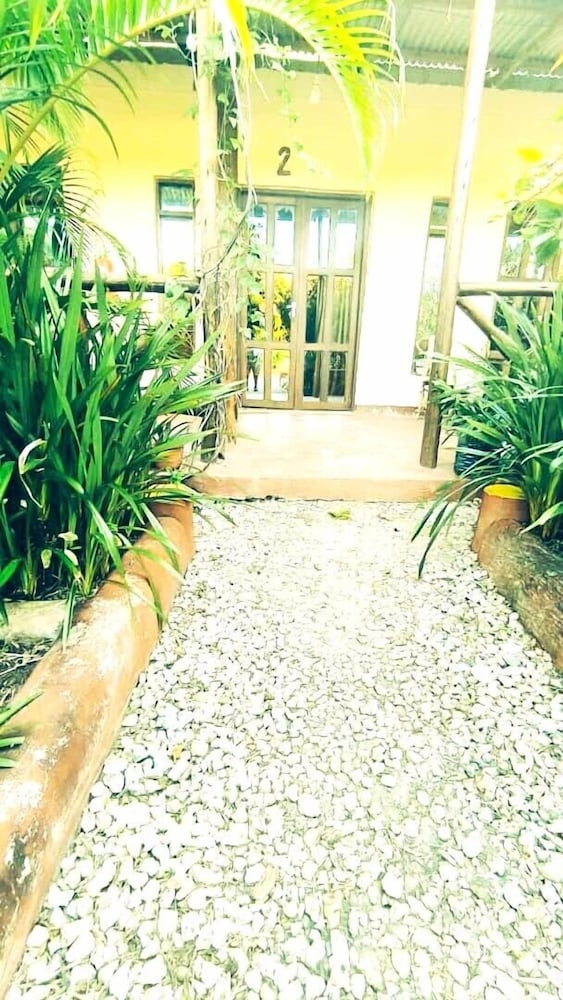 zanzllywood hotel and apartments