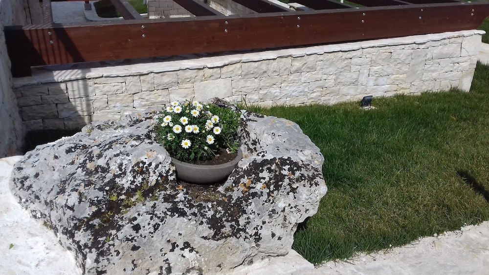 Agriturismo Nonna Rosa photo 4