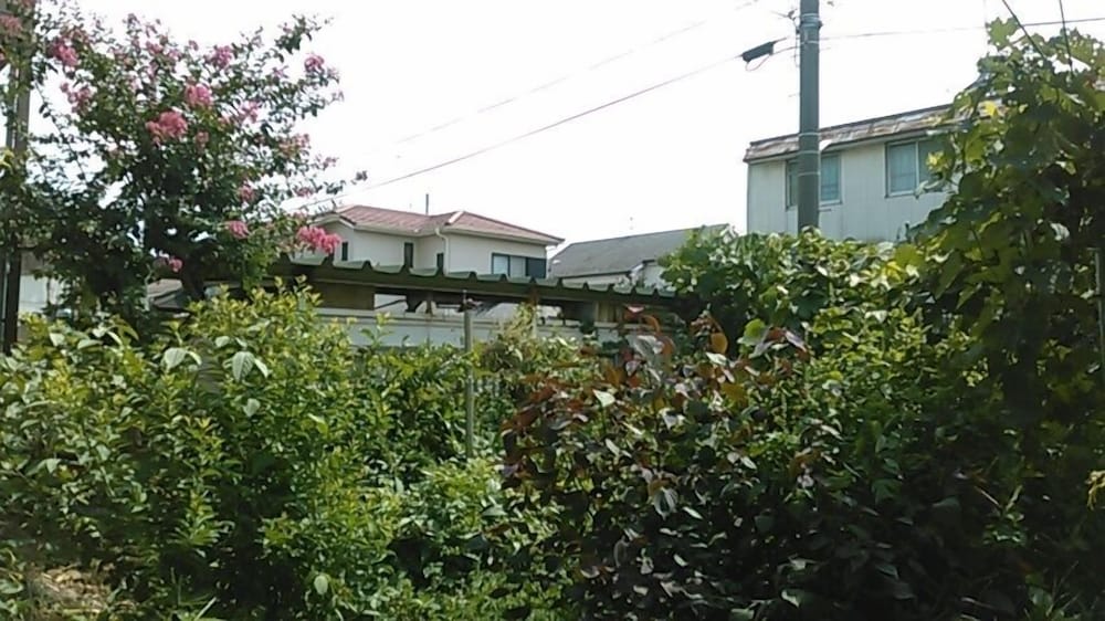 Photo 15