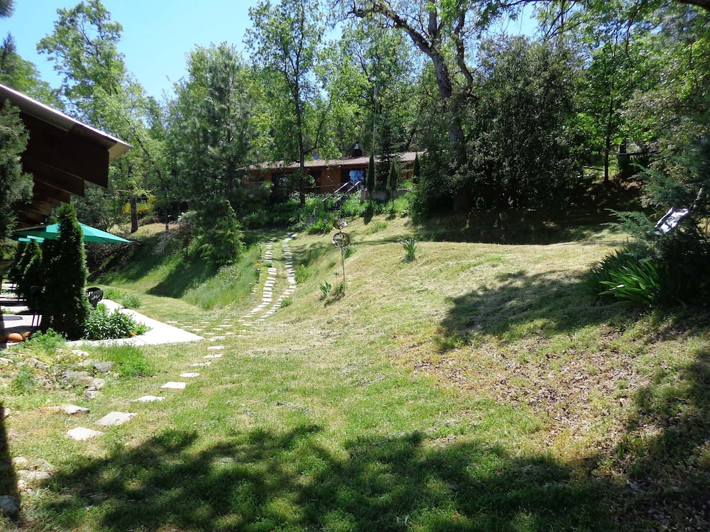Evergreen Haus