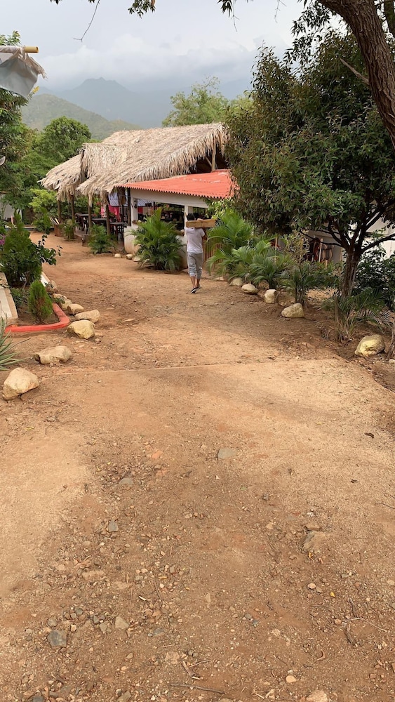 HOSTAL OLAS CLUB DE NEGUANJE - P TAYRONA