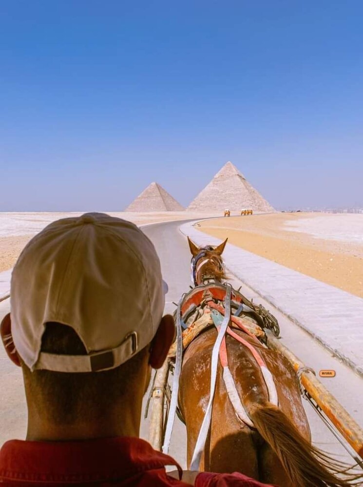 Photo 35
